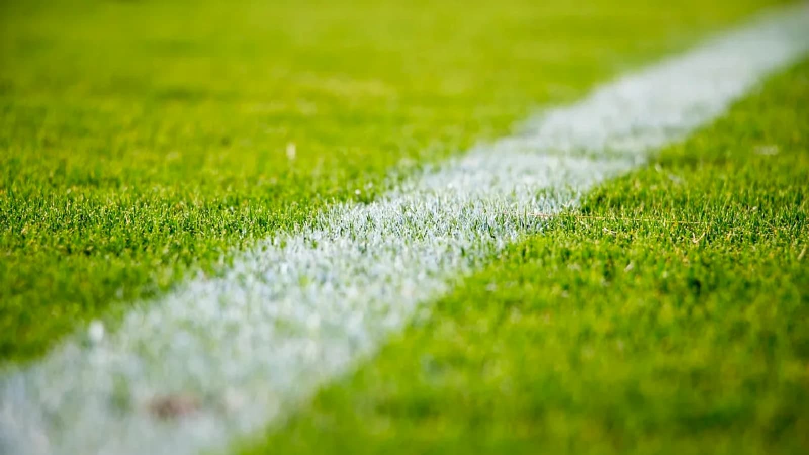 Hồ Sơ FU3-1QH5JLP: Chờ Nguồn Đối Chiếu