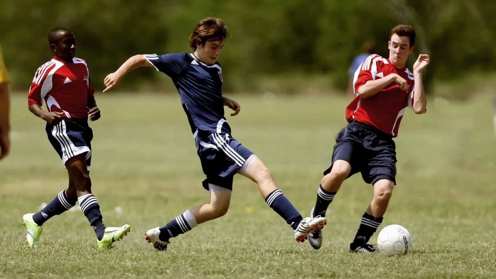 Hồ Sơ THS-1ROHLEG: Chờ Nguồn Đối Chiếu